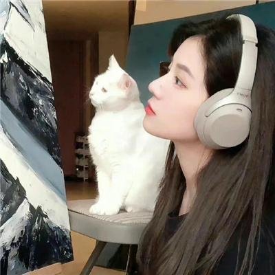 危机迷雾